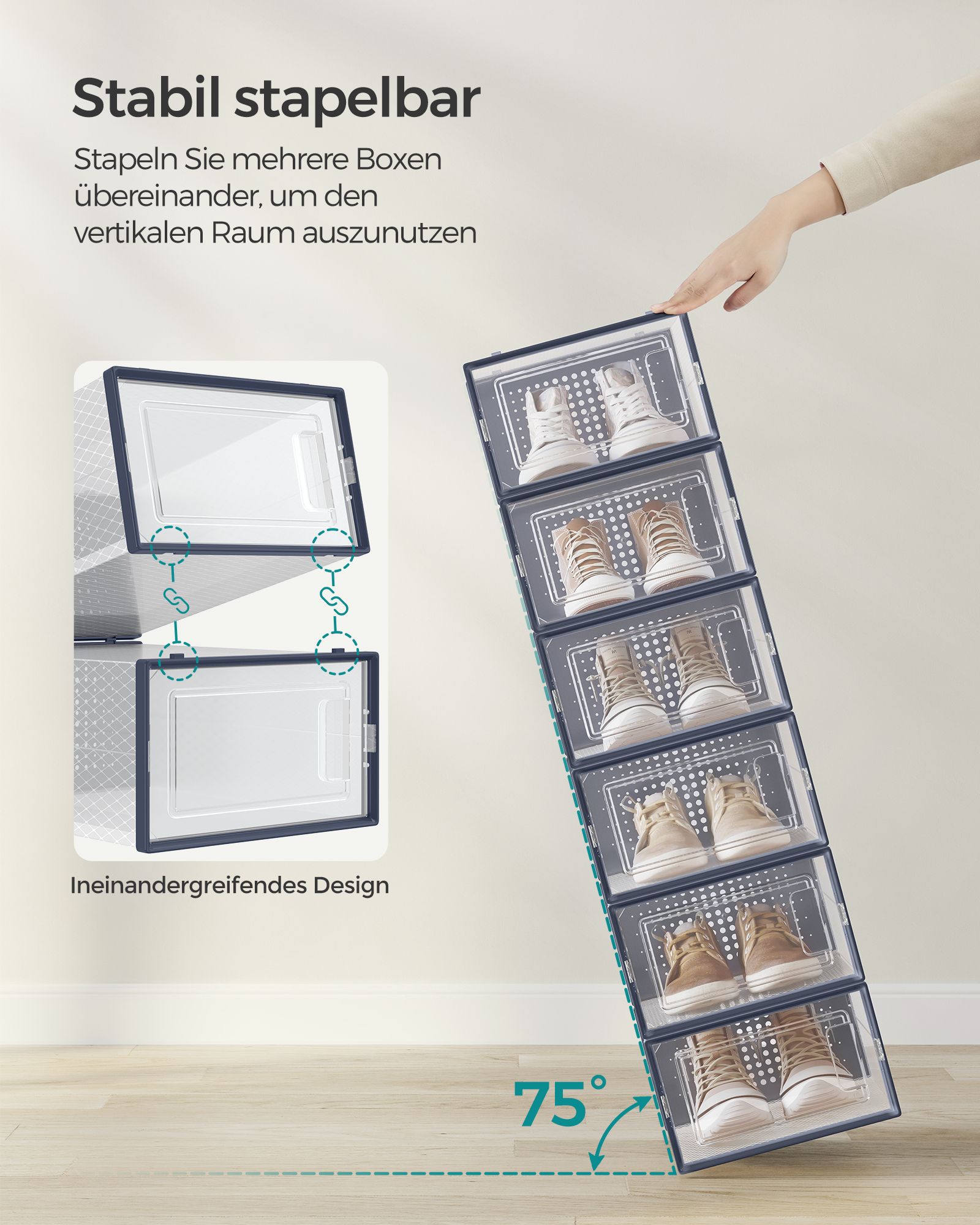 Batų dėžės skaidrios–antracito mėlynos 12 vnt. 3