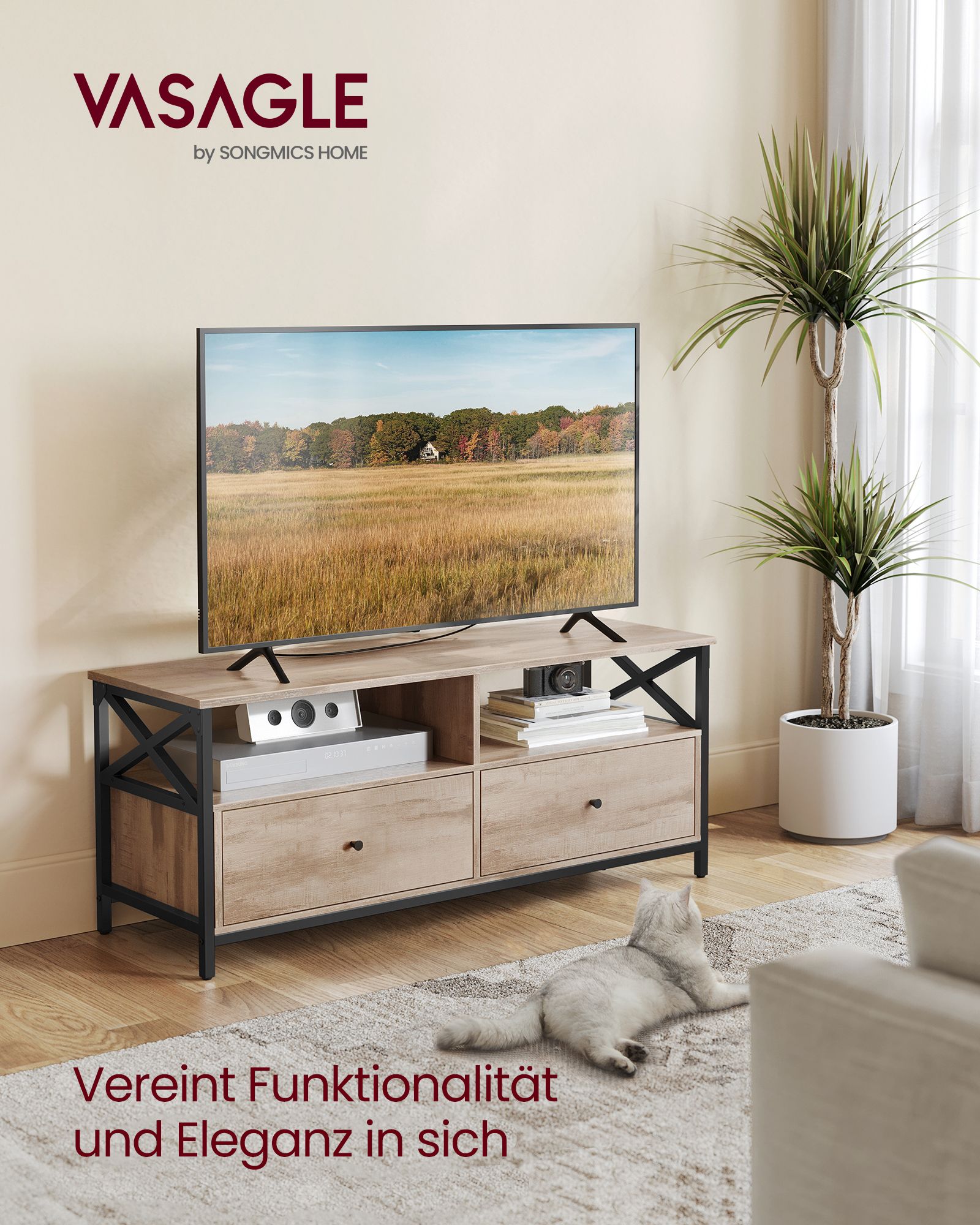 TV staliukas su dviem stalčiais ir lentynomis