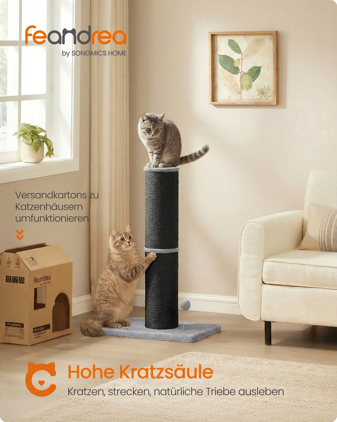 Draskyklė katėms 85 cm