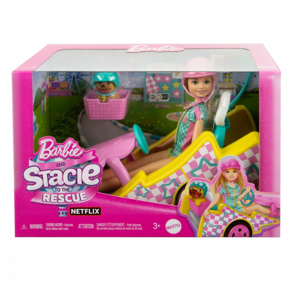 Lėlė barbė stacie su priedais mattel, hrm08, 5 d.