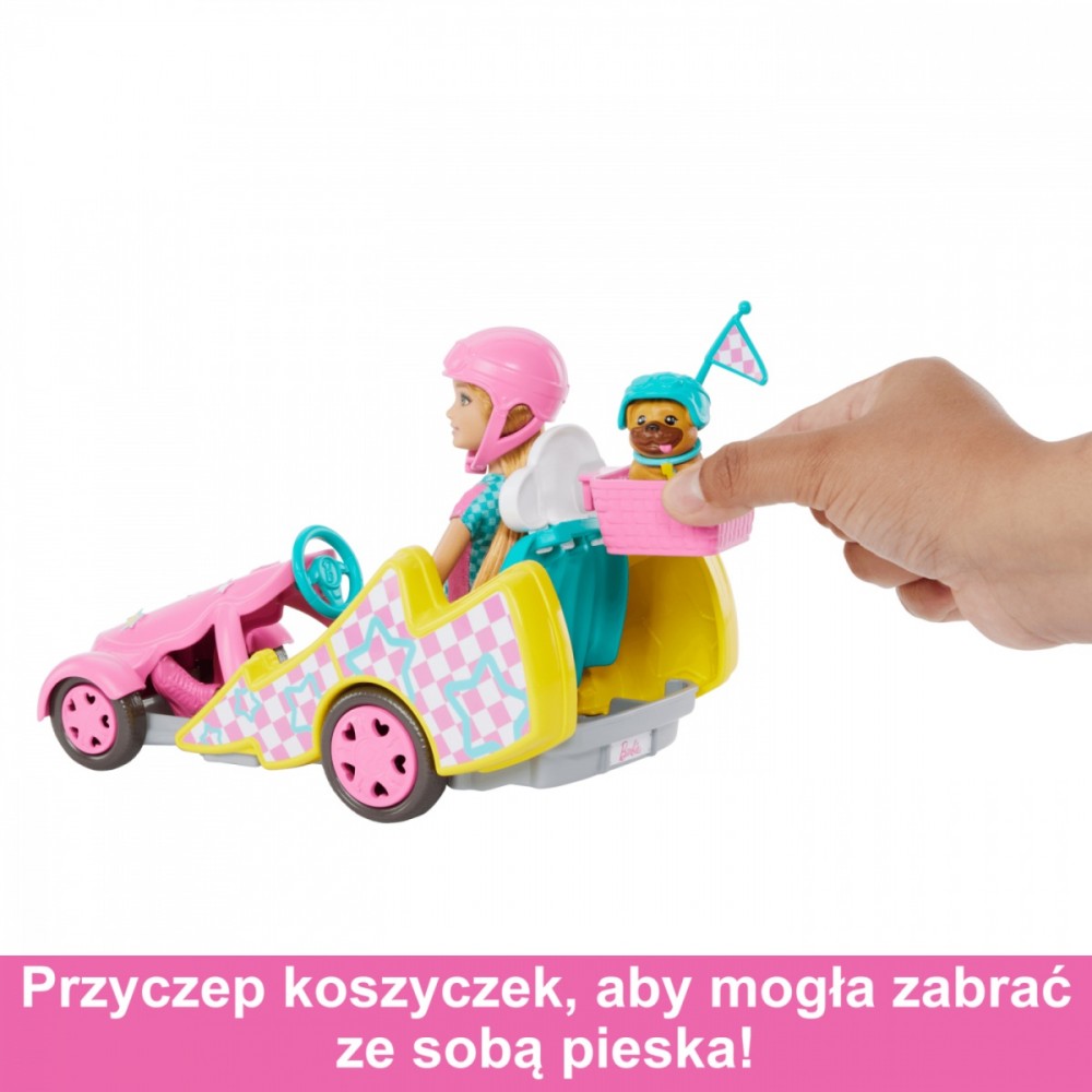 Lėlė barbė stacie su priedais mattel, hrm08, 5 d.