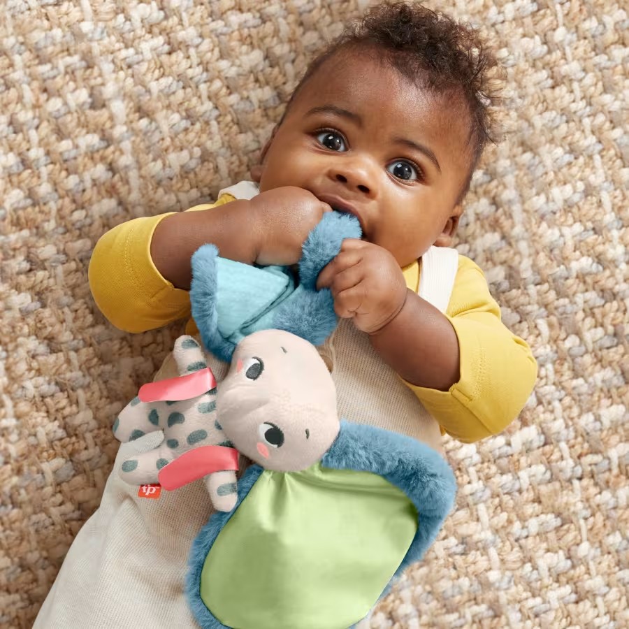 Fisher-price planetos draugas dramblys su didelėmis ausimis