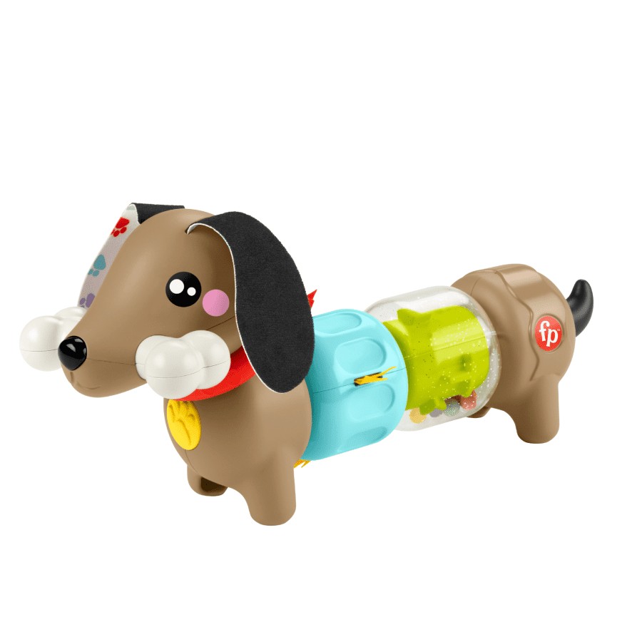 Veiklos šuo fisher price, įvairių spalvų
