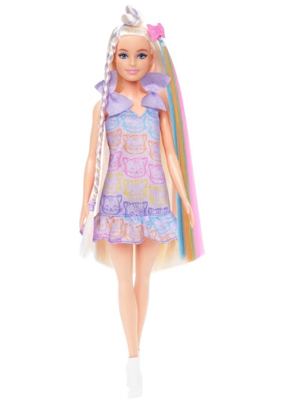 Barbie fun & fancy lėlė su ilgais plaukais ir aksesuarais