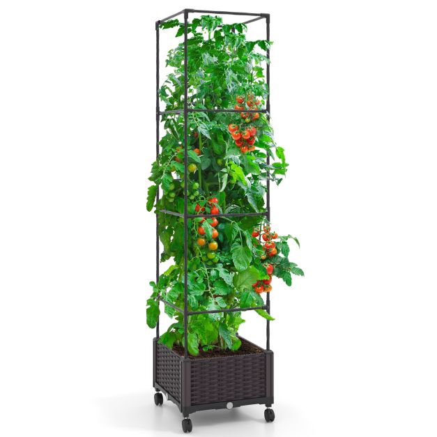 Vazonas su treliažu 170.2 cm