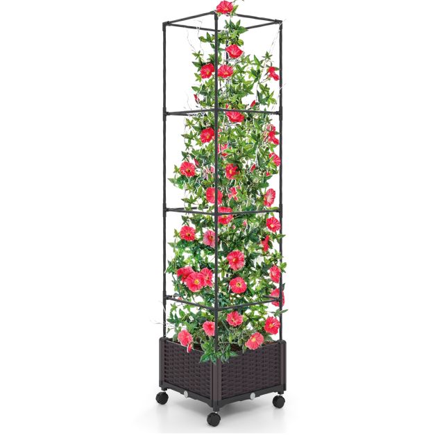 Vazonas su treliažu 170.2 cm 3