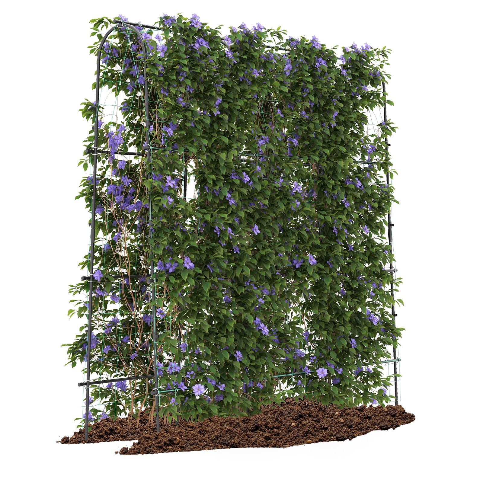 Sodo arka 180 x 32–65 x 180 cm 3