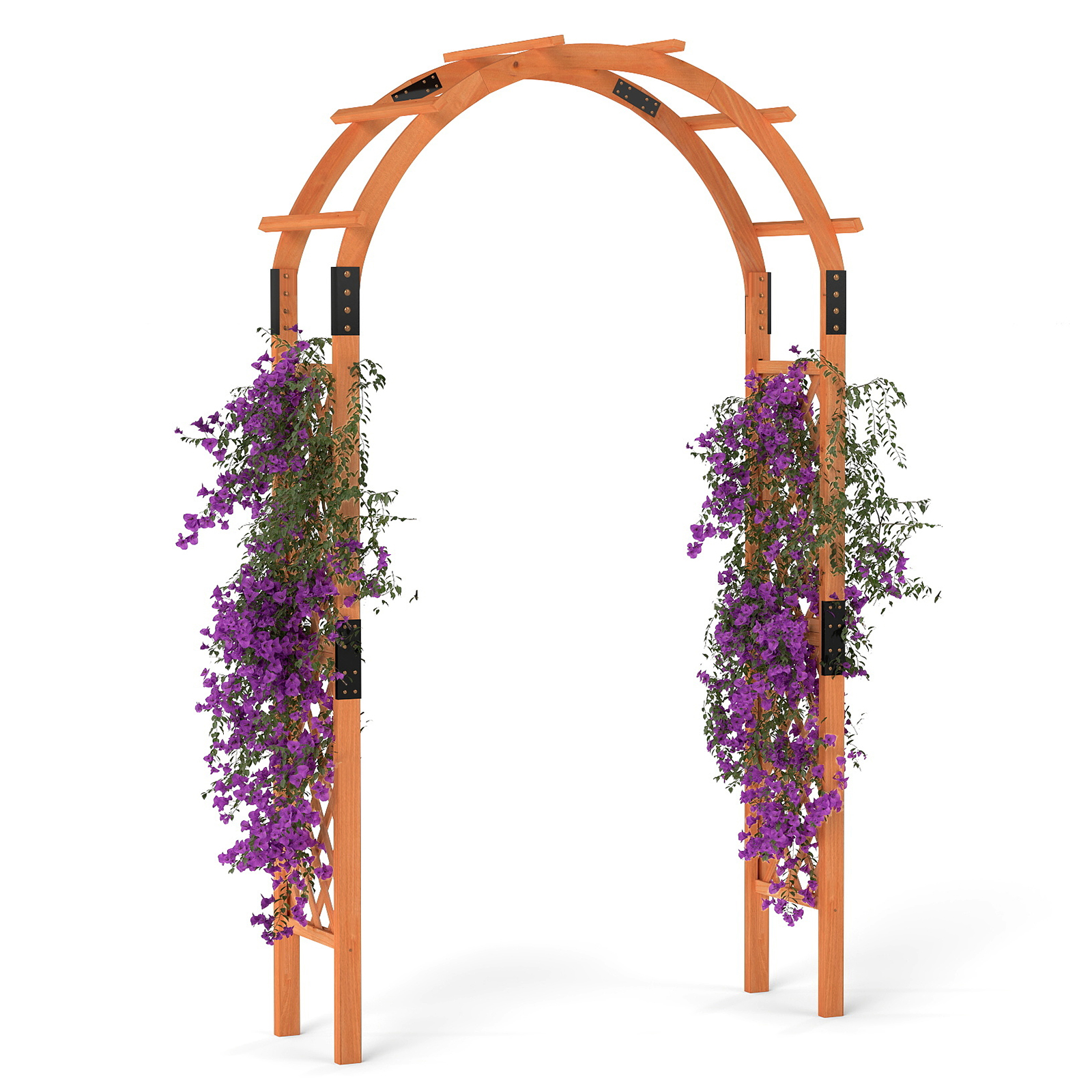 Sodo arka 132 x 45.5 x 235 cm 3