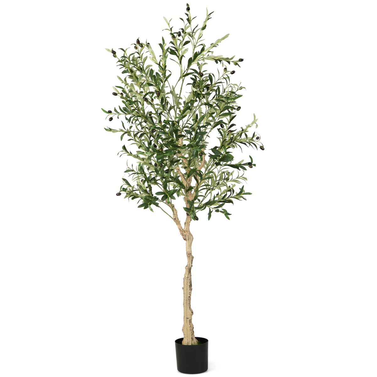 Dirbtinis alyvmedis 182.9 cm 1 vnt.