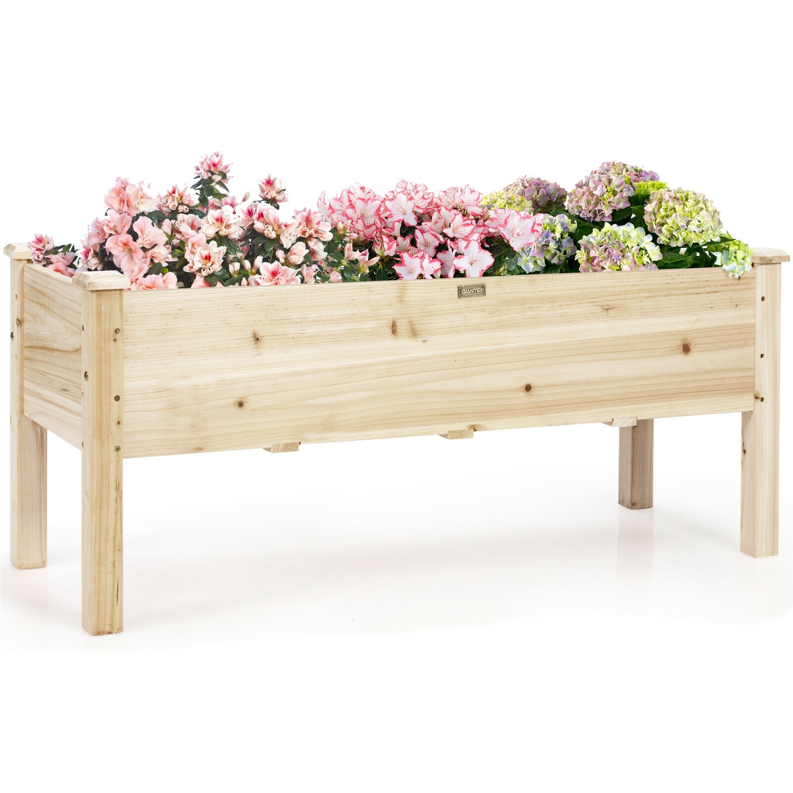 Pakelta lysvė 120 x 43.5 x 51 cm 3