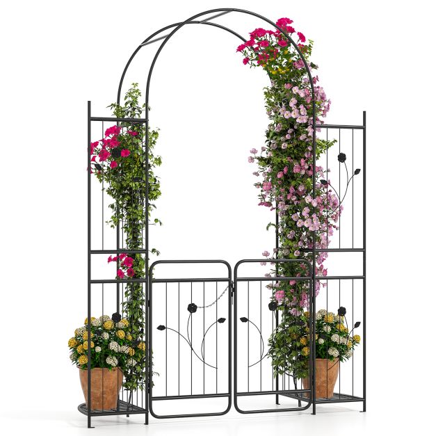 Sodo arka 220 cm 3