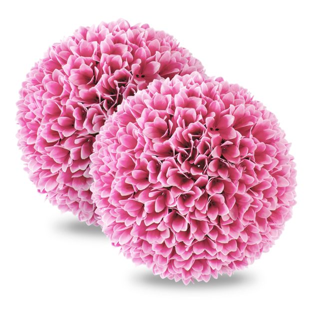 Buksmedžio rutuliai 28 cm 2 vnt.
