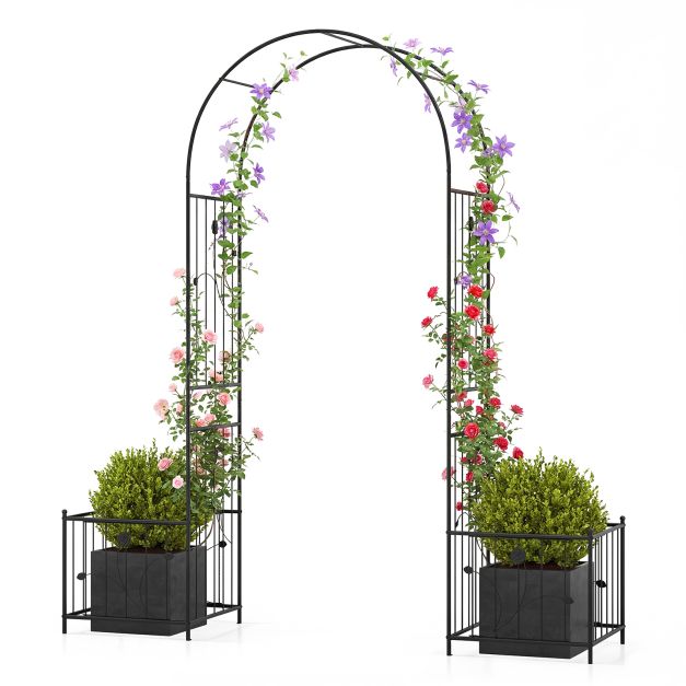 Sodo arka 198 x 49.5 x 221 cm 3