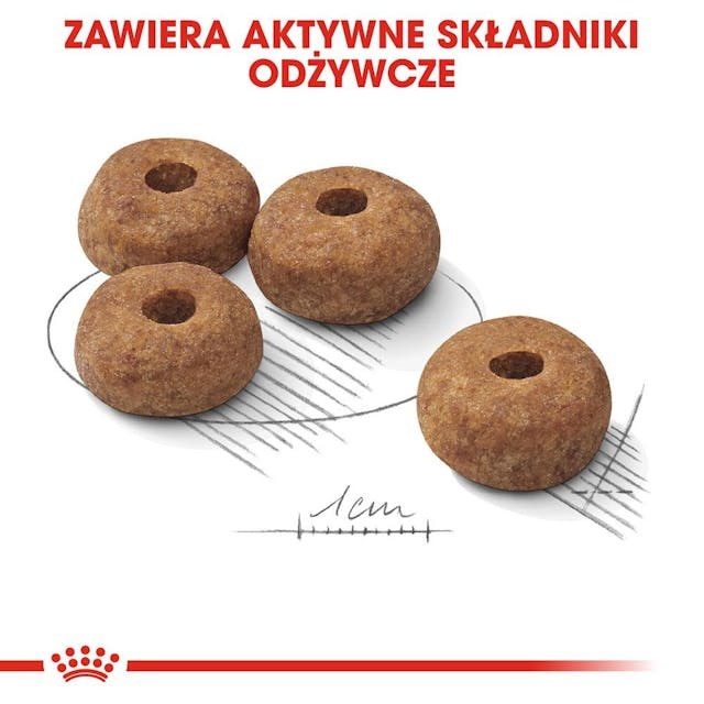 Royal canin suaugusiems didelių veislių kastruotiems šunims ccn maxi, 12 kg