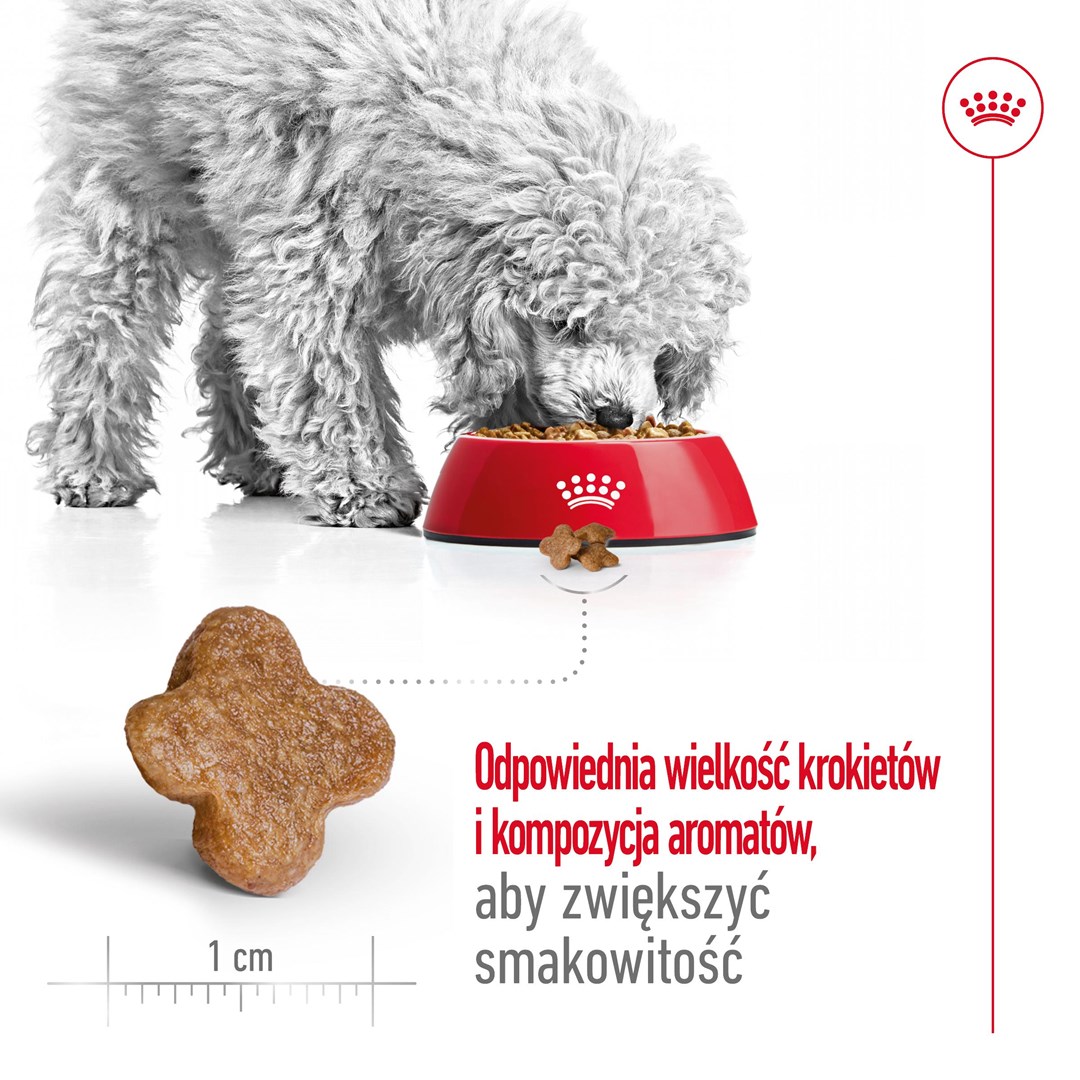 Royal canin mažų veislių senjorams mini adult +8, 2 kg
