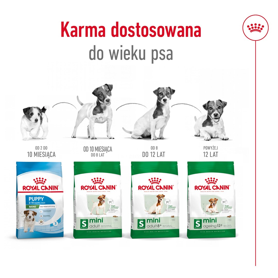 Royal canin mažų veislių senjorams mini adult +8, 2 kg
