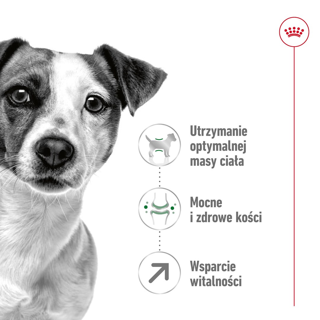 Royal canin mažų veislių senjorams mini adult +8, 2 kg