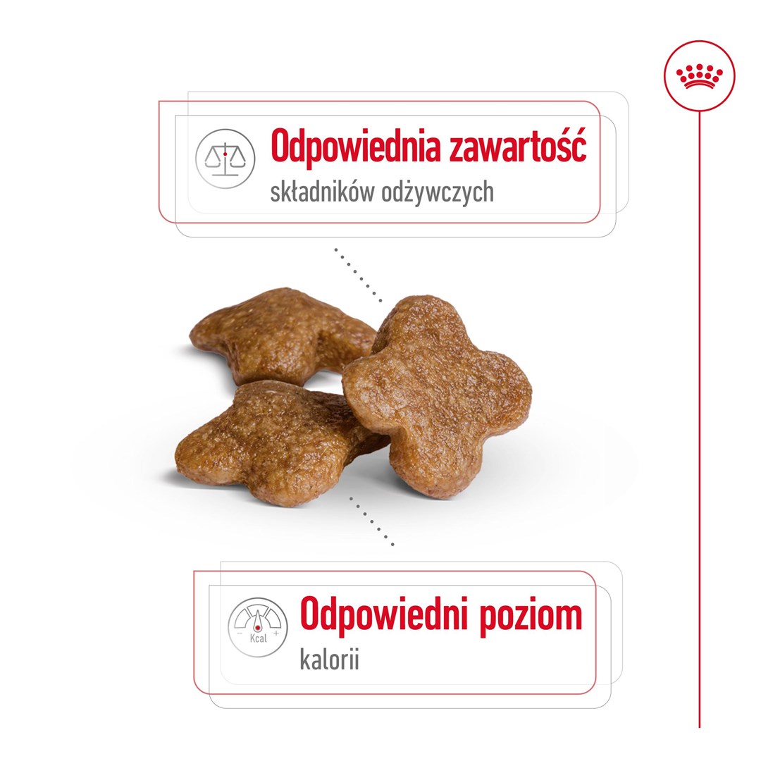 Royal canin mažų veislių senjorams mini adult +8, 2 kg