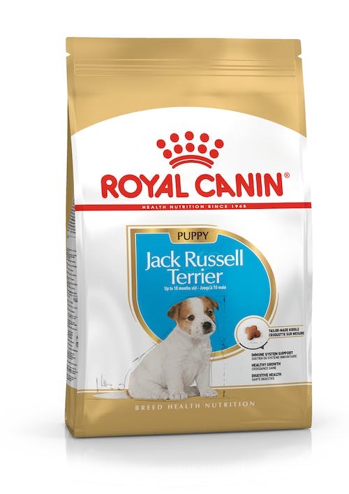 Royal canin džeko raselo terjerų veislės šuniukams, 3 kg