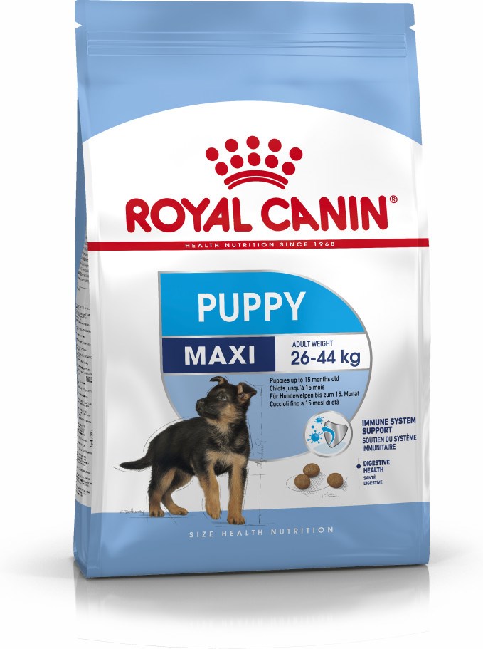 Royal canin maxi junior 4 kg
