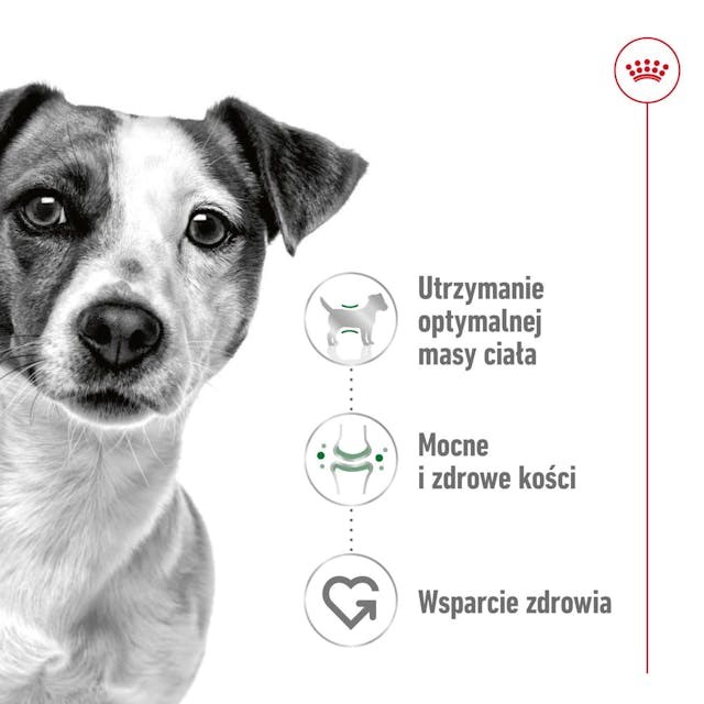 Royal canin adult mini s suaugusiems mažų veislių šunims, 8 kg
