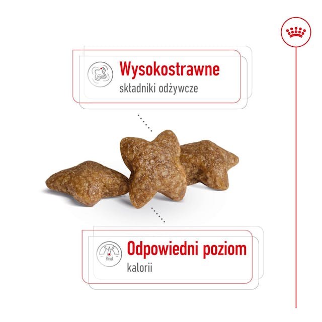 Royal canin adult mini s suaugusiems mažų veislių šunims, 8 kg