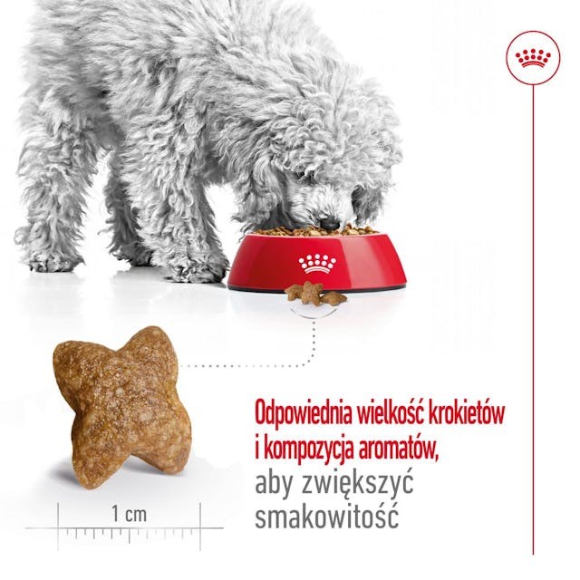 Royal canin adult mini s suaugusiems mažų veislių šunims, 8 kg