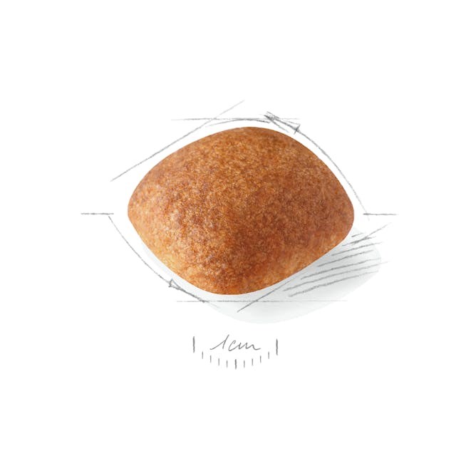 Royal canin auksiniams retriveriams adult, 12 kg