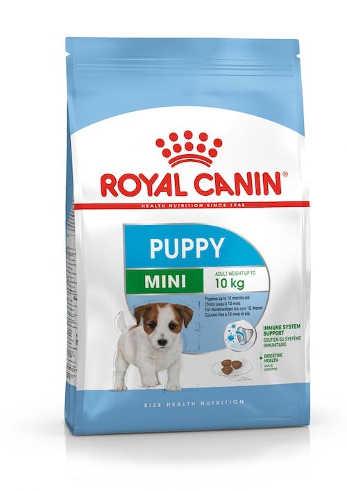 Royal canin mini junior 8 kg