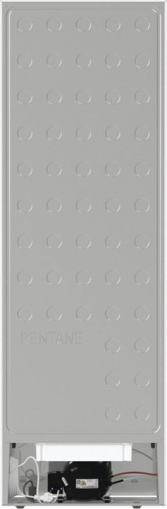 Šaldiklis gorenje fn619eew5
