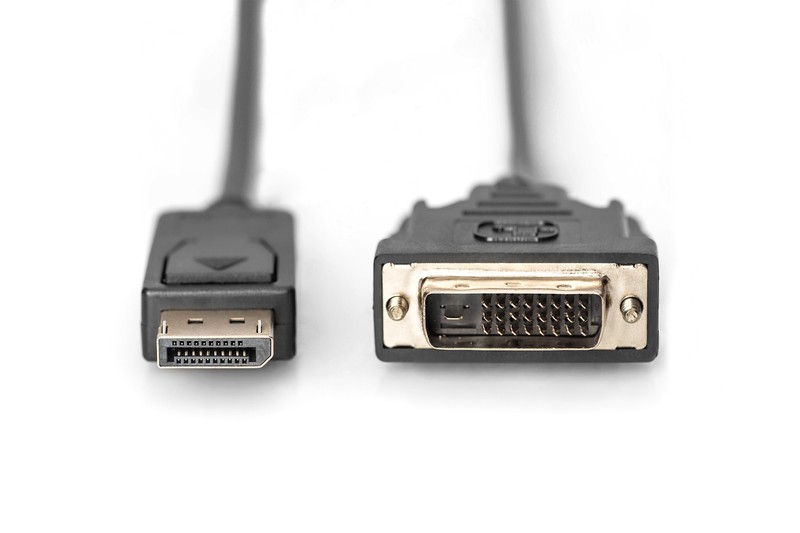 Kompiuterio laidas assmann ak-340306-020-s, dvi-d/dp, 2 m