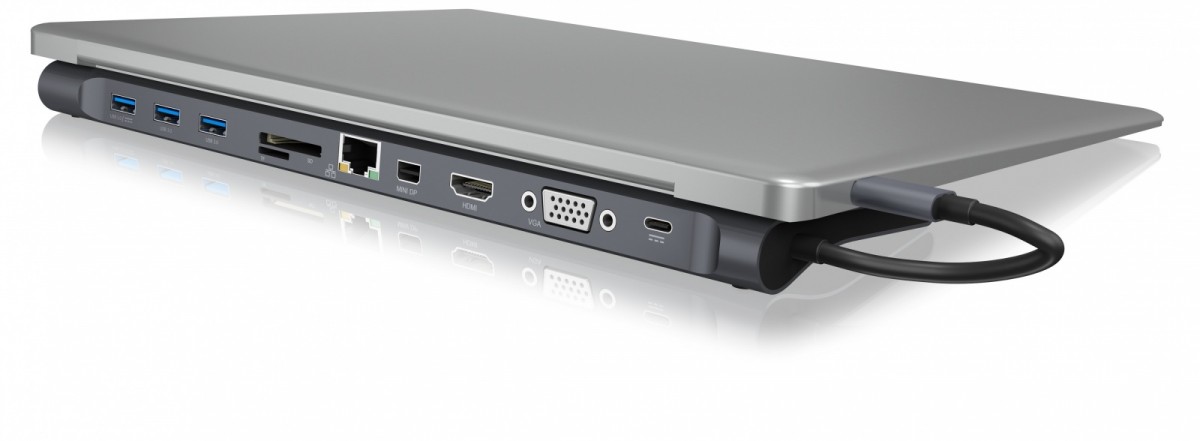 Raidsonic ib-dk2102-c