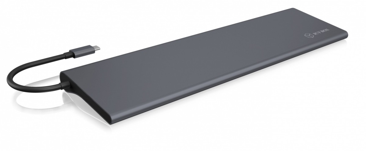 Raidsonic ib-dk2102-c