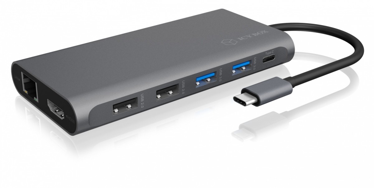 Adapteris raidsonic 12-in-1 usb-c