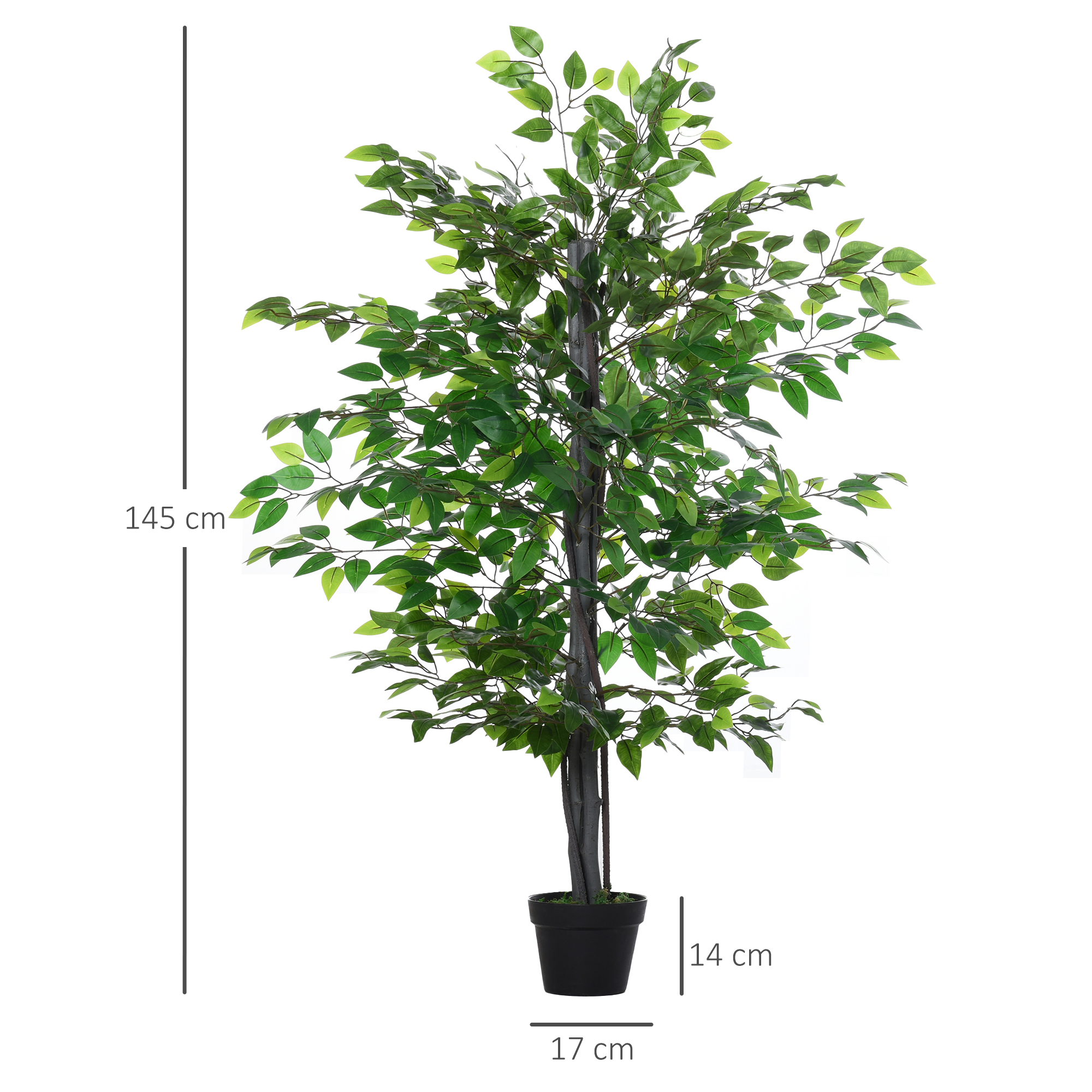 Dirbtinis banyan medis 145 cm 2