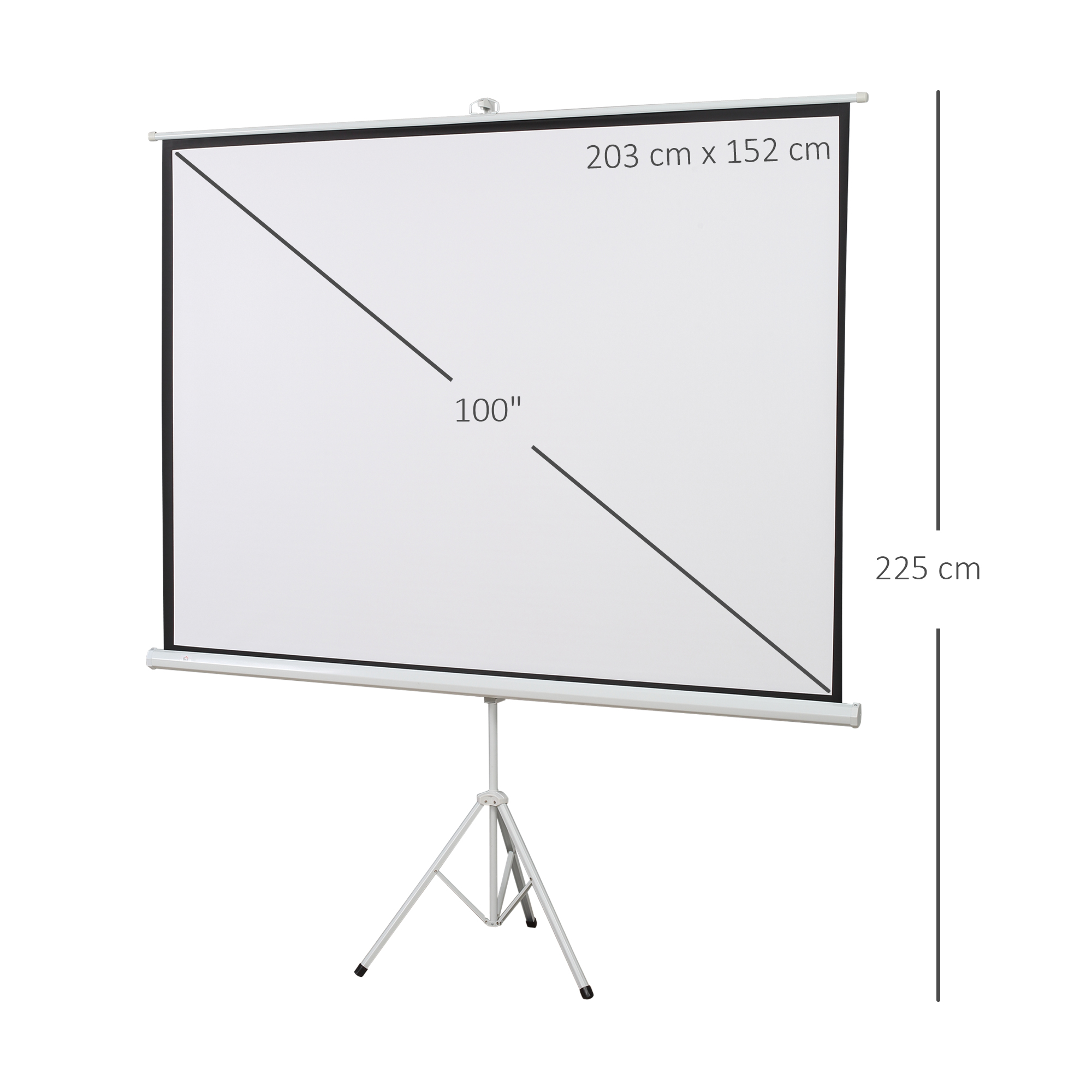 Projektoriaus ekranas 203×152 cm 2