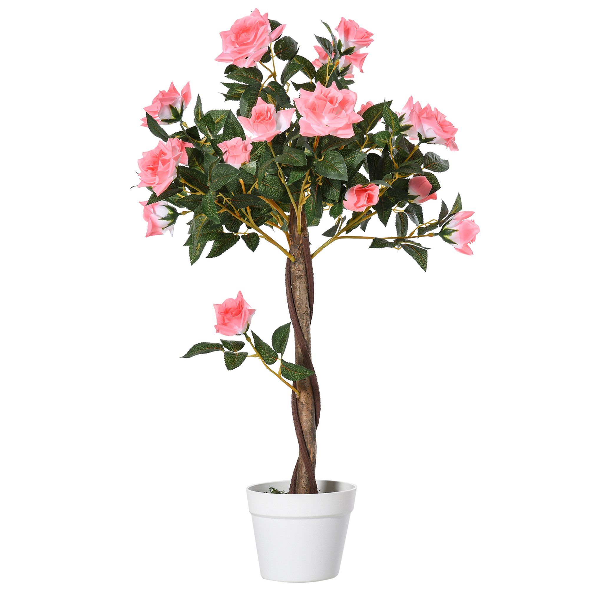 Kamelijų medis 90 cm
