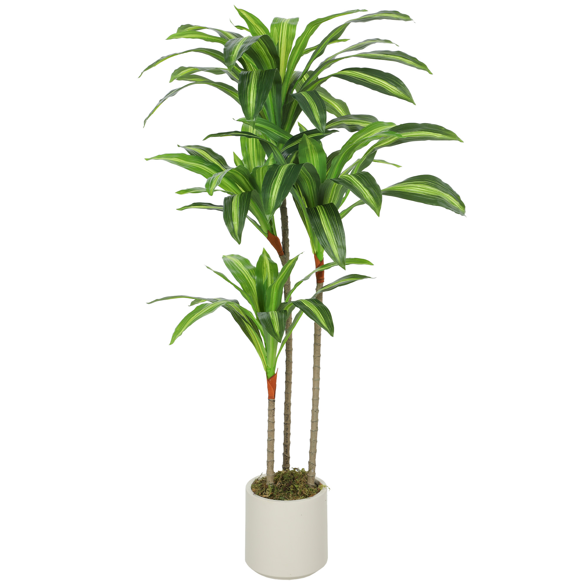 Dirbtinis dracena medis 120 cm