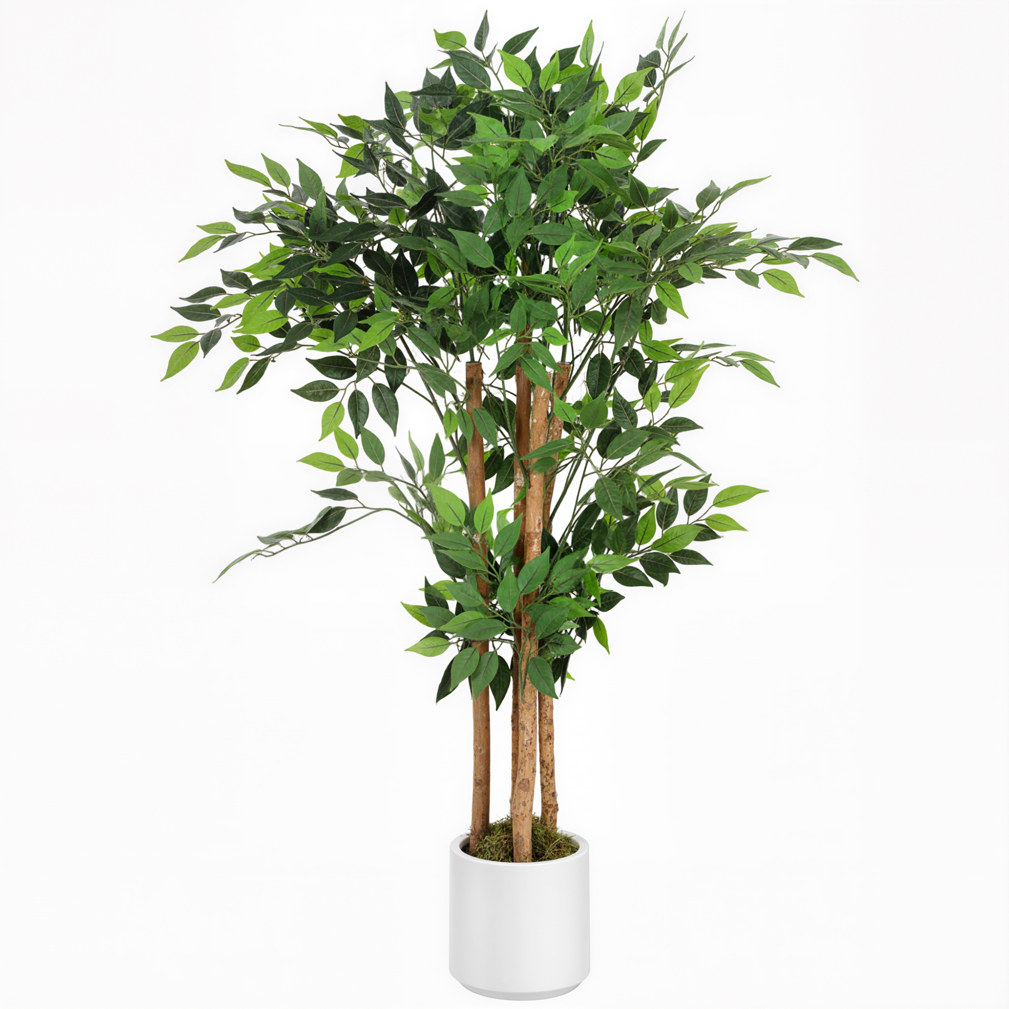 Dirbtinis banyan medis 55 x 55 x 120 cm