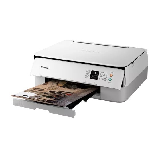 Rašalinis spausdintuvas canon pixma ts5351i