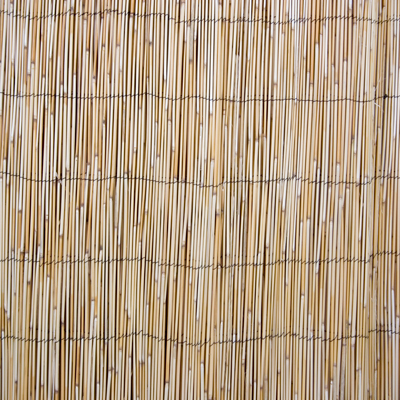 Nendrių tvora, 1 × 5 m