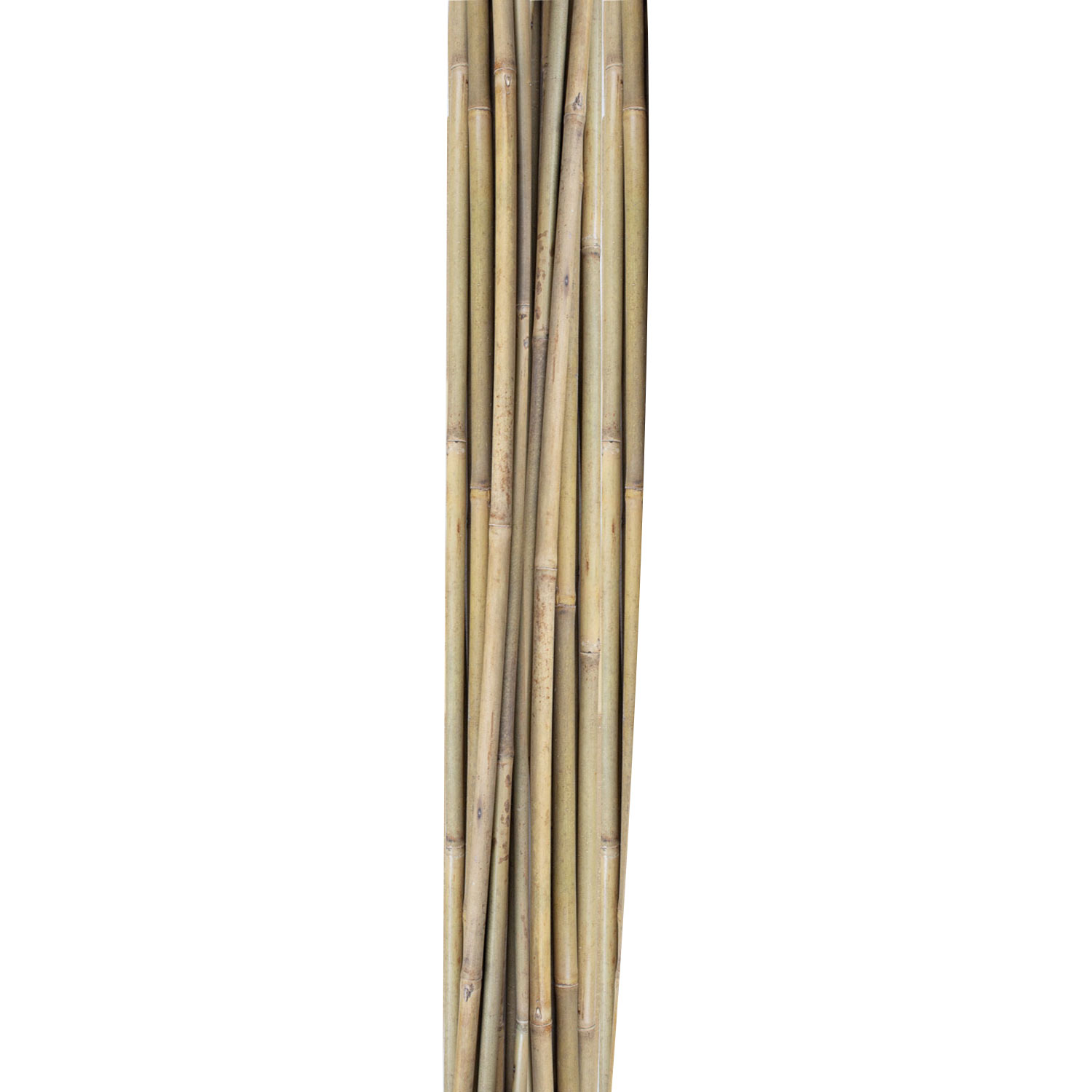Bambukinės augalų atramos, 150 cm, 10 vnt.