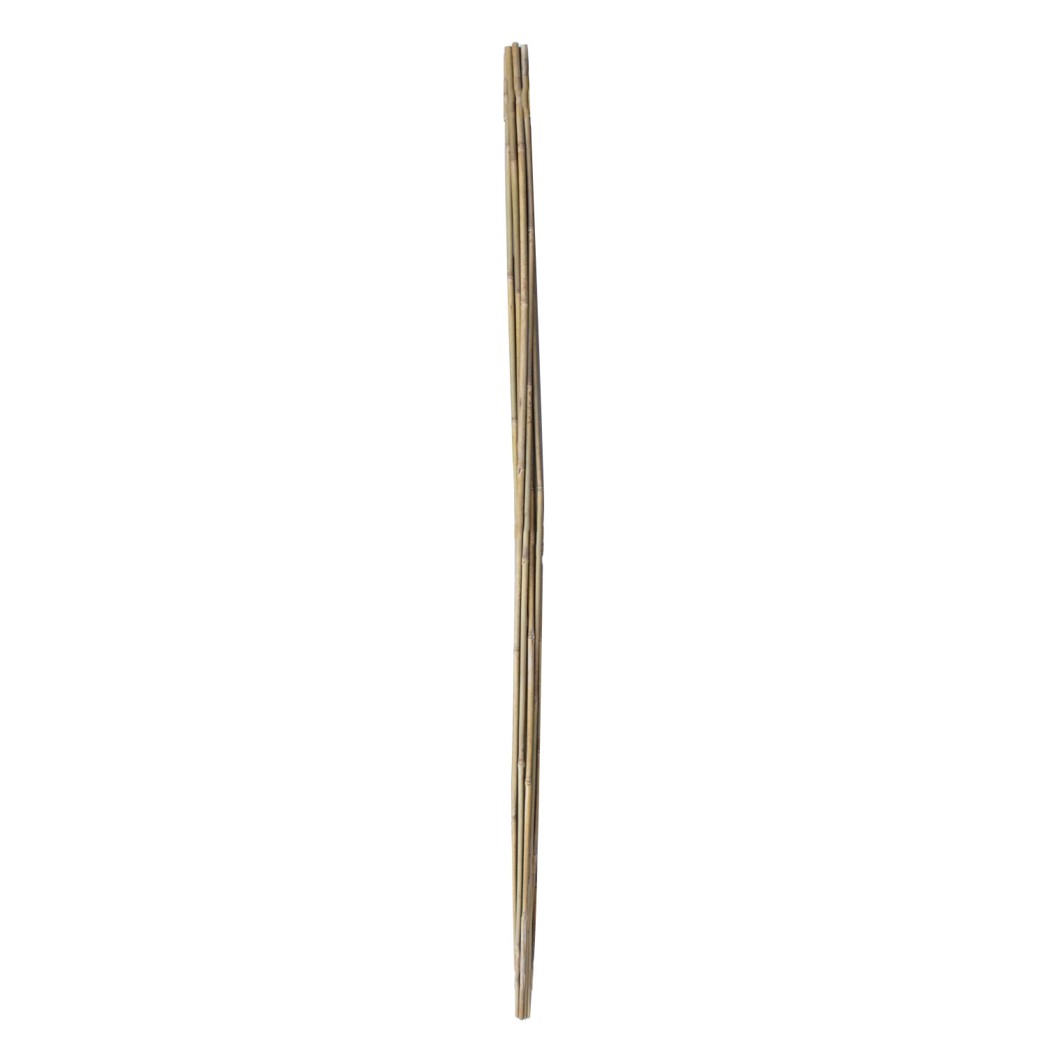 Bambukinės augalų atramos, 150 cm, 10 vnt.