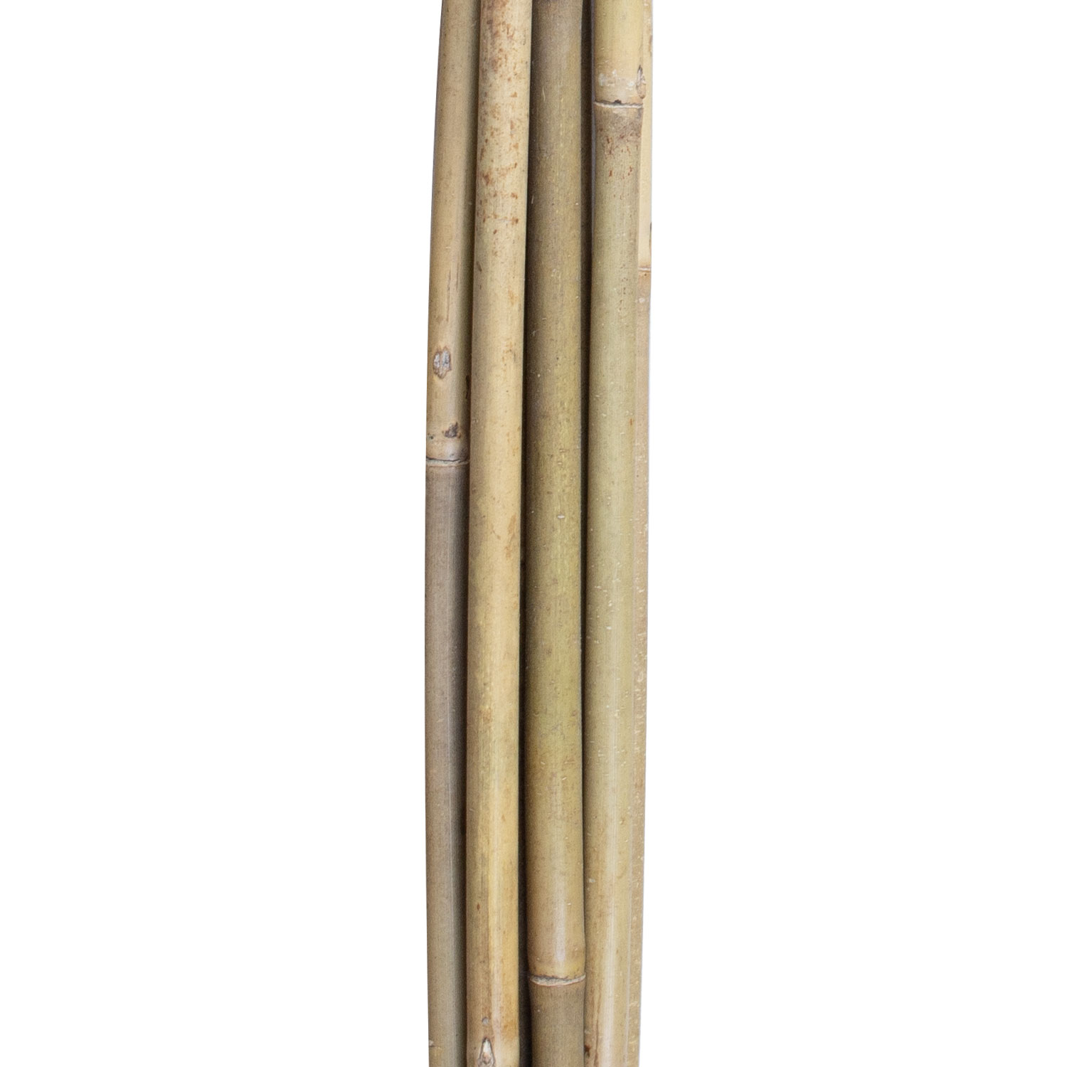 Bambukinės augalų atramos, 150 cm, 10 vnt. 2
