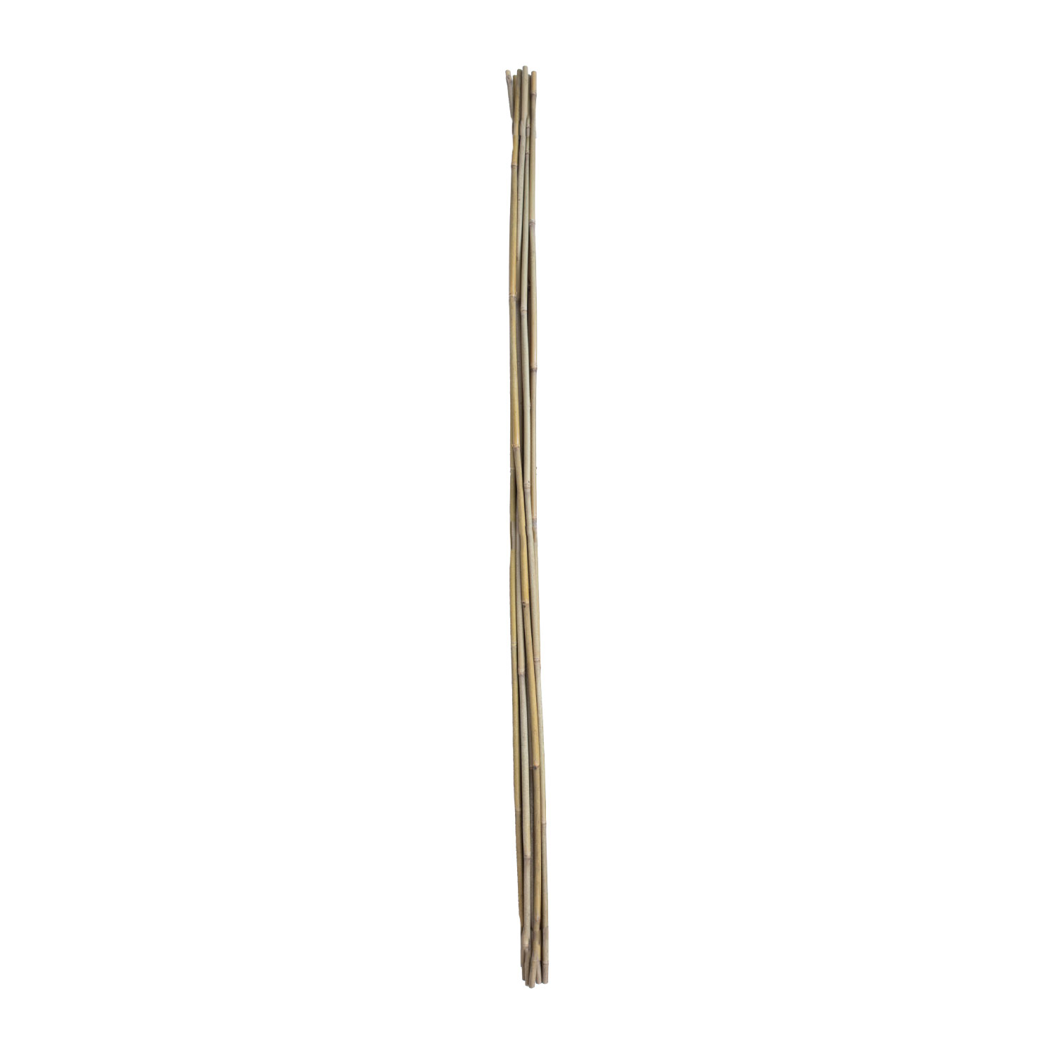 Bambukinės atramos augalams, 180 cm, 10 vnt.