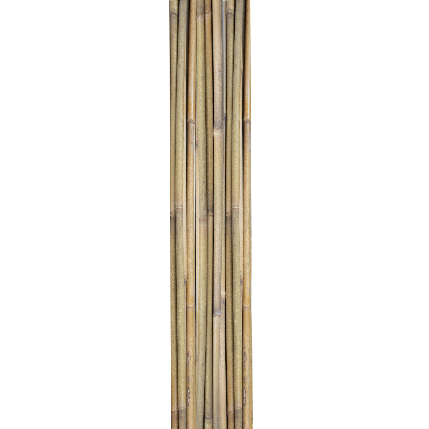 Bambukinės atramos augalams, 180 cm, 10 vnt.