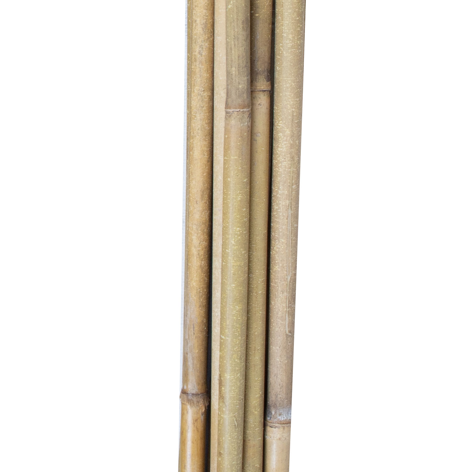 Bambukinės atramos augalams, 180 cm, 10 vnt. 2