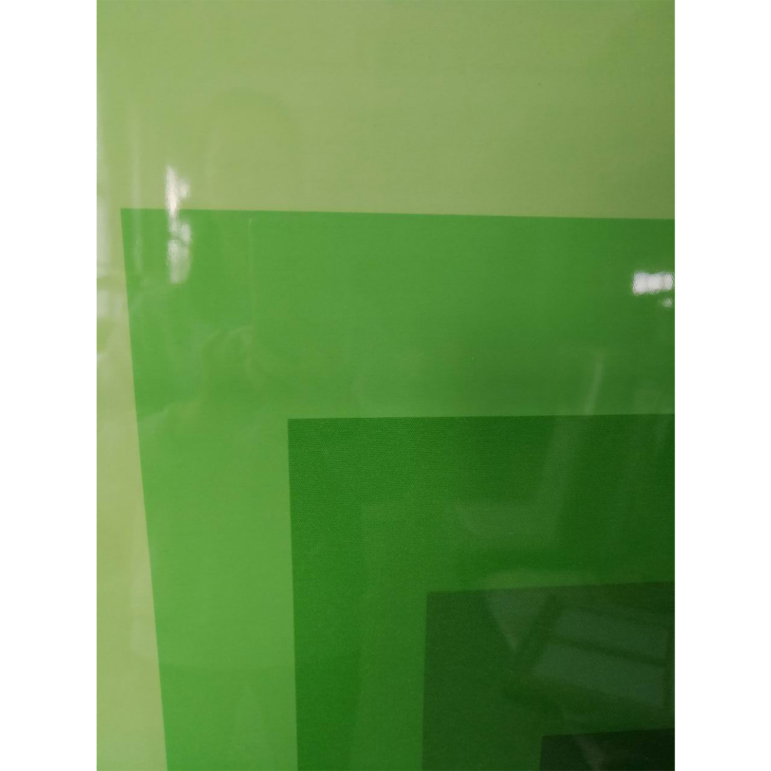 Akrilinis sienos paveikslas rėmelyje, žalias, 60 × 80 cm