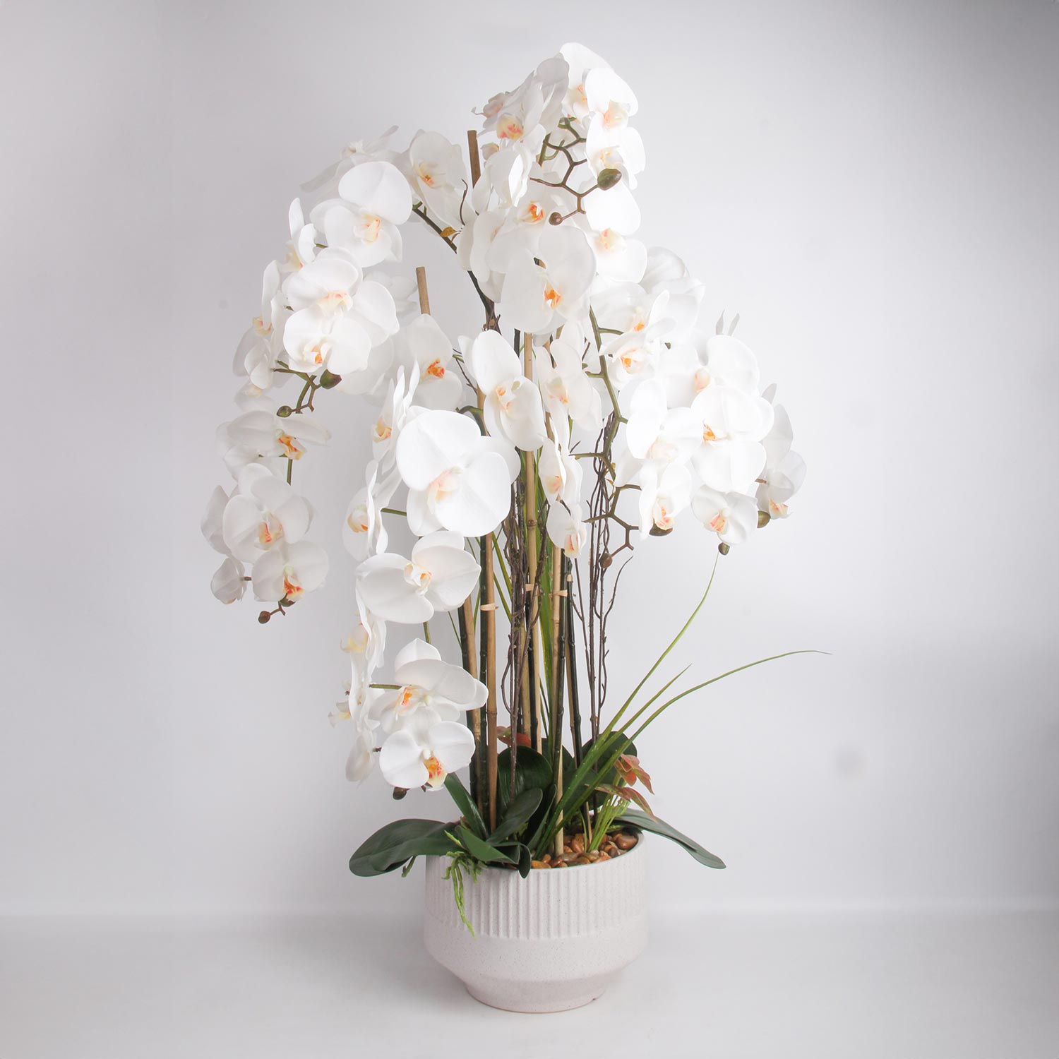 Orhideja GARDEN QUEEN, balta, 102 cm