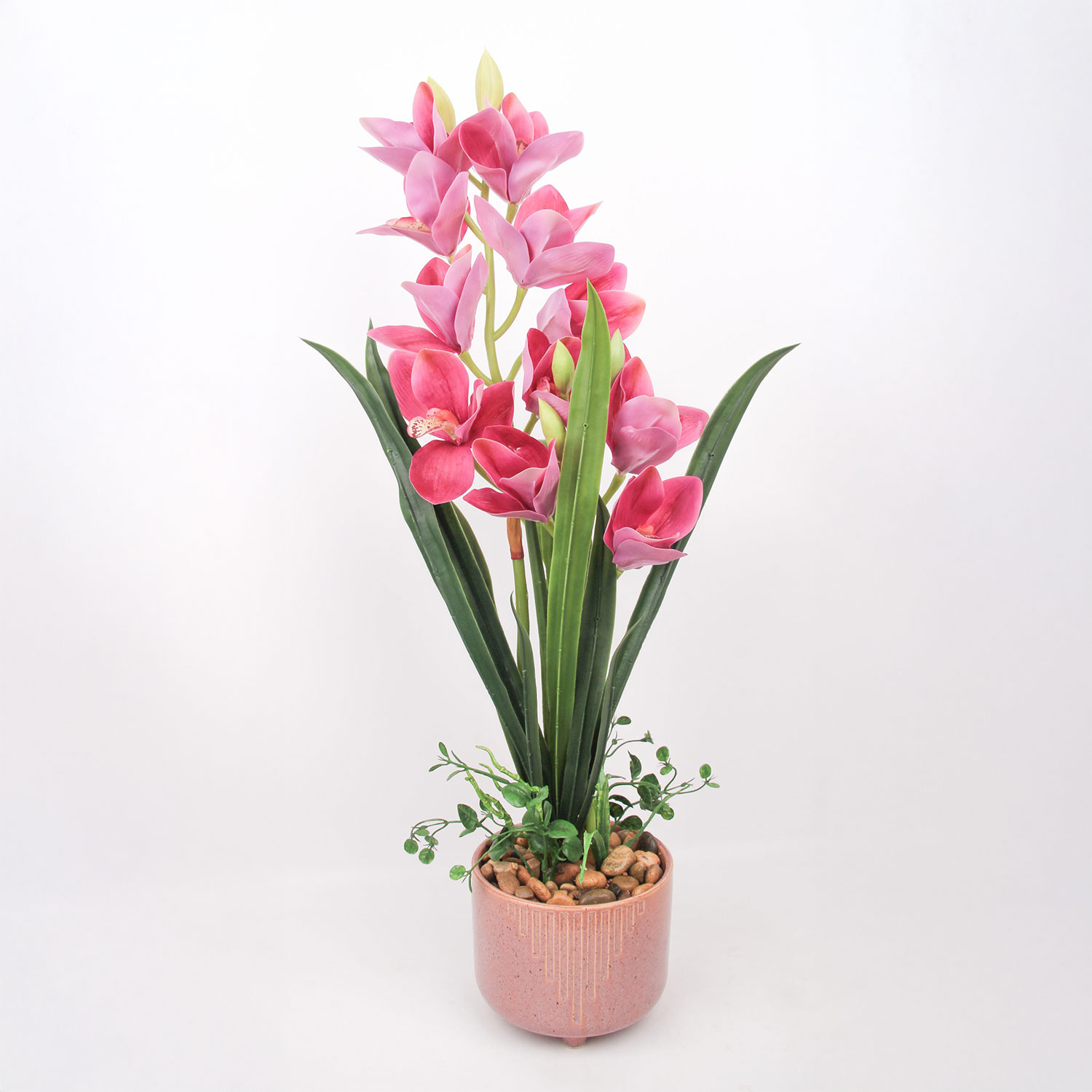 Orhideja GARDEN QUEEN, 11 ziediem, tumši rozā, 70 cm